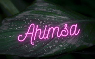 Ahimsa – Die Lehre der Gewaltlosigkeit und wie du sie in dein Leben integrieren kannst.